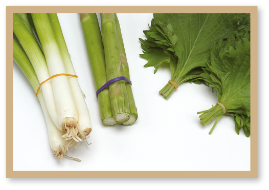 野菜の結束